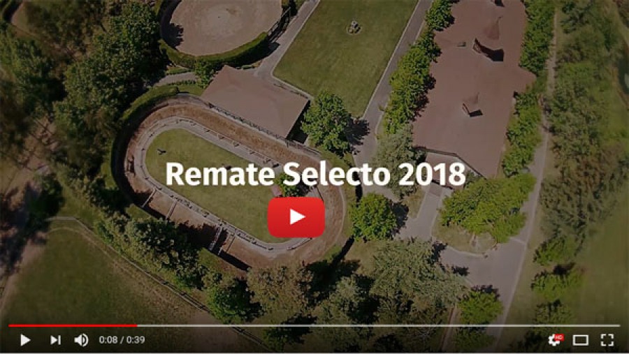 Video Promocional Remate Selecto 2018