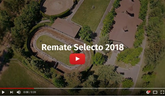 Promocional Remate Selecto 2018